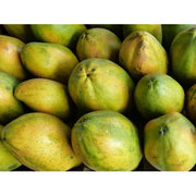 PAPAYA ECO