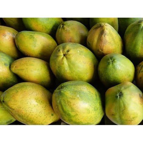 PAPAYA ECO