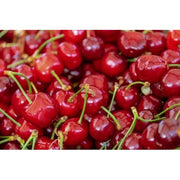 CEREZA ROJA ECO