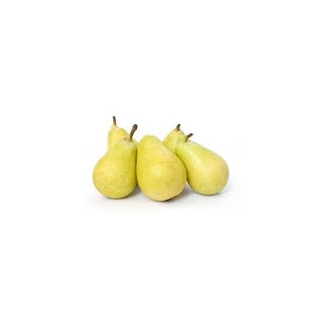 PERAS ERCOLINI ECO