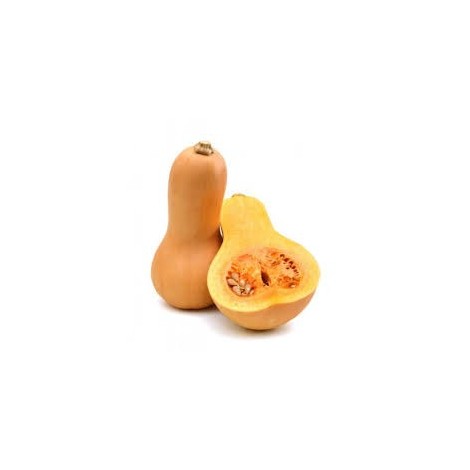 CALABAZA CACAHUETE ECO