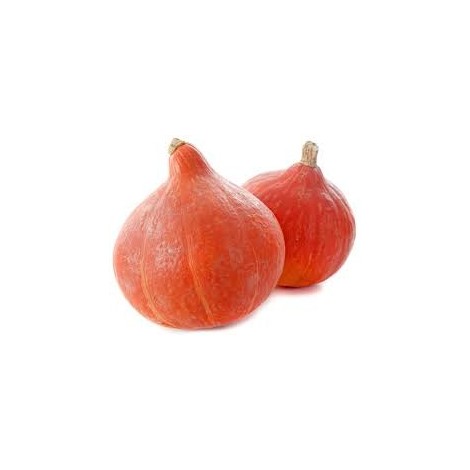 CALABAZA POTIMARRON ECO