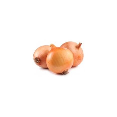 CEBOLLA RECA ECO