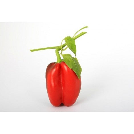 PIMIENTO ROJO ECO