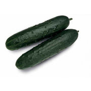 PEPINO FRANCES ECO