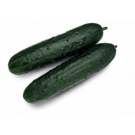 PEPINO FRANCES ECO