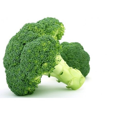 BROCOLI ECO