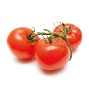 TOMATE REDONDO ECO