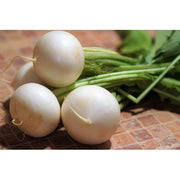 NABO BLANCO ECO