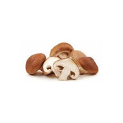 SETA SHIITAKE ECO