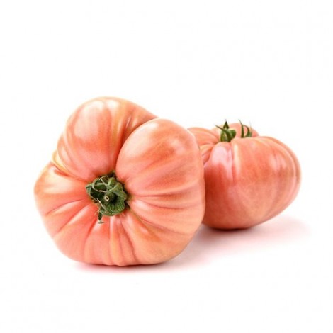 TOMATE ROSA ECO