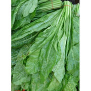 ESPINACA ECO - MANOJO