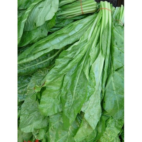 ESPINACA ECO - MANOJO