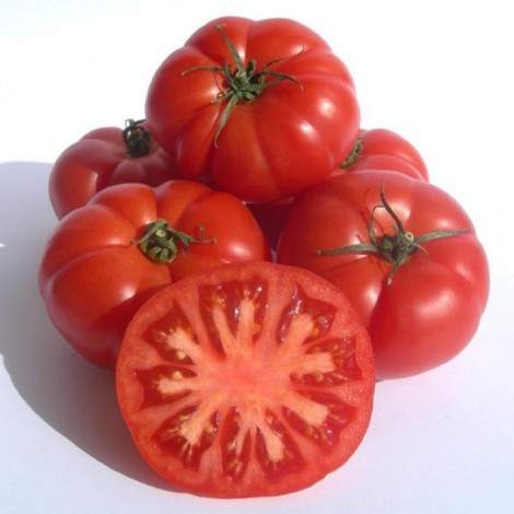 TOMATE REBELION ECO