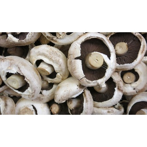 CHAMPIÑON PORTOBELLO ECO