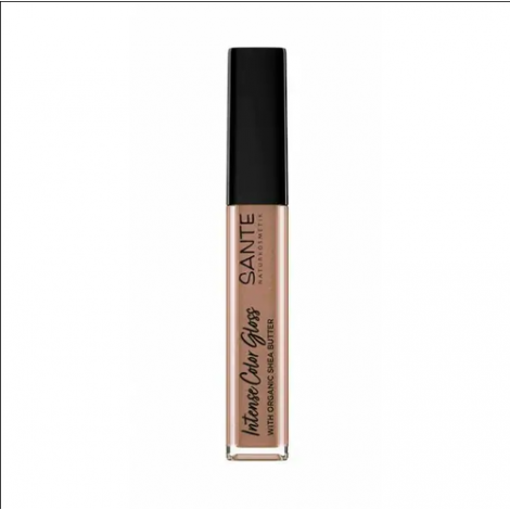 PINTALABIOS LIQUIDO BRILLO 01 INTENSO 5.3ML - SANTE