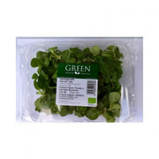 CANONIGOS BIO 100G - GREEN