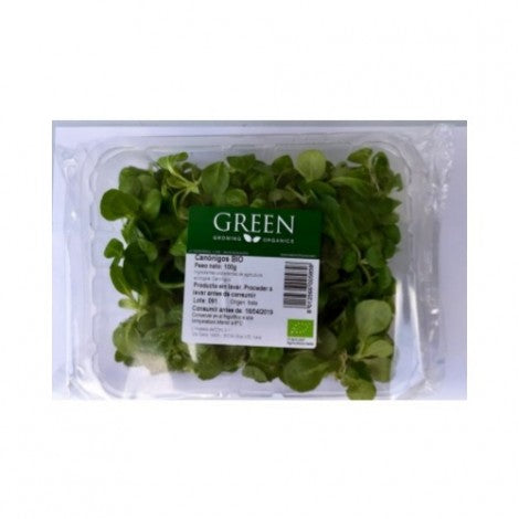 CANONIGOS BIO 100G - GREEN