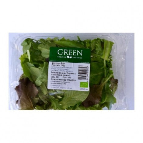 MEZCLA DE ENSALADA BIO 100G - GREEN