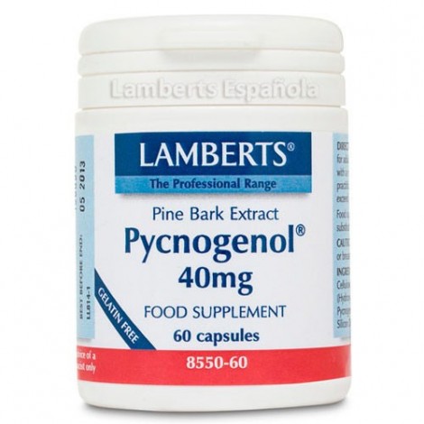 PYCNOGENOL 40 MG 60 CAPS - LAMBERTS