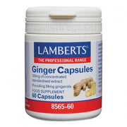 JENGIBRE 60 CAPS - LAMBERTS
