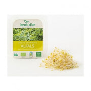 ALFALFA BROTES GERMINADOS 70G - BROT D'OR