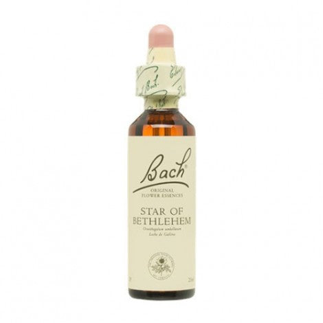 ESENCIA FLORAL STAR OF BETHLEHEM 20ML -  BACH