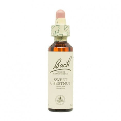 ESENCIA FLORAL SWEET CHESTNUT 20ML - BACH