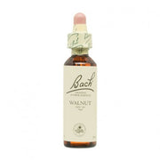 ESENCIA FLORAL WALNUT 20ML - BACH