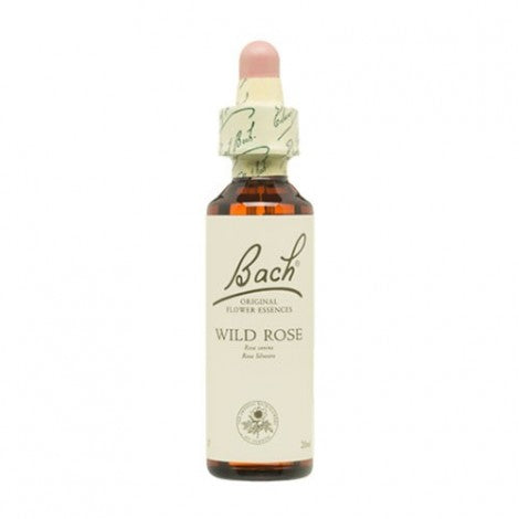 ESENCIA FLORAL WILD ROSE 20ML - BACH