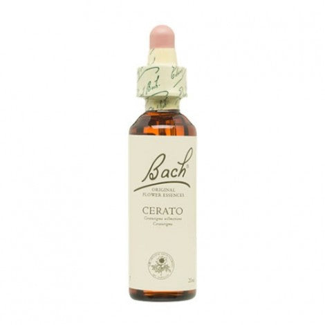 ESENCIA FLORAL CERATO 20ML - BACH