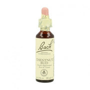 ESENCIA FLORAL CHESTNUT BUD 20ML - BACH