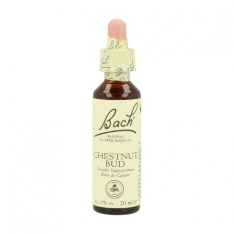ESENCIA FLORAL CHESTNUT BUD 20ML - BACH
