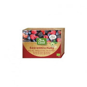 FRUTOS DEL BOSQUE CONGELADOS 300G BIO - BIO COOL