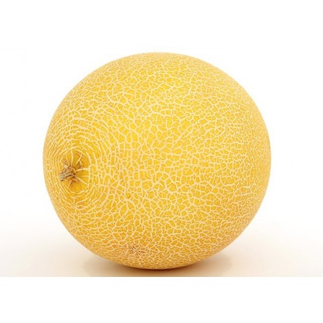 MELON AMARILLO ECO