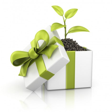 ECO-GIFT