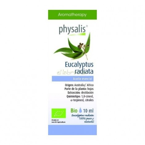 ACEITE ESENCIAL DE EUCALIPTO RADIATA 10ML - PHYSALIS