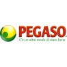 PEGASO