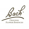 BACH